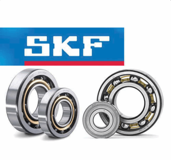 SKF Bearing